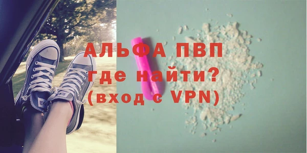 spice Аркадак