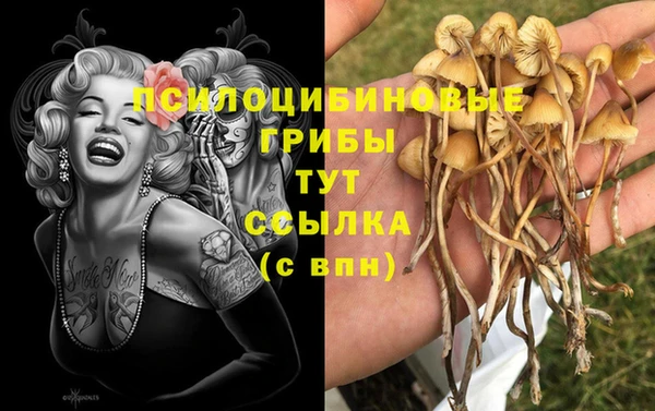 MDMA Premium VHQ Алзамай
