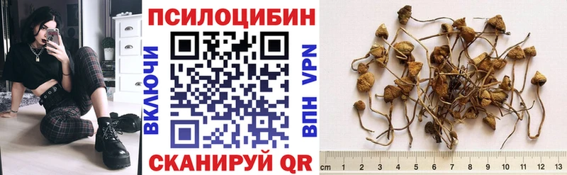 kraken рабочий сайт  Дудинка  Псилоцибиновые грибы MAGIC MUSHROOMS 