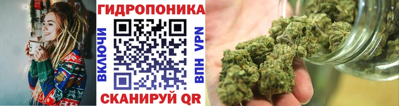 Конопля Amnesia Дудинка